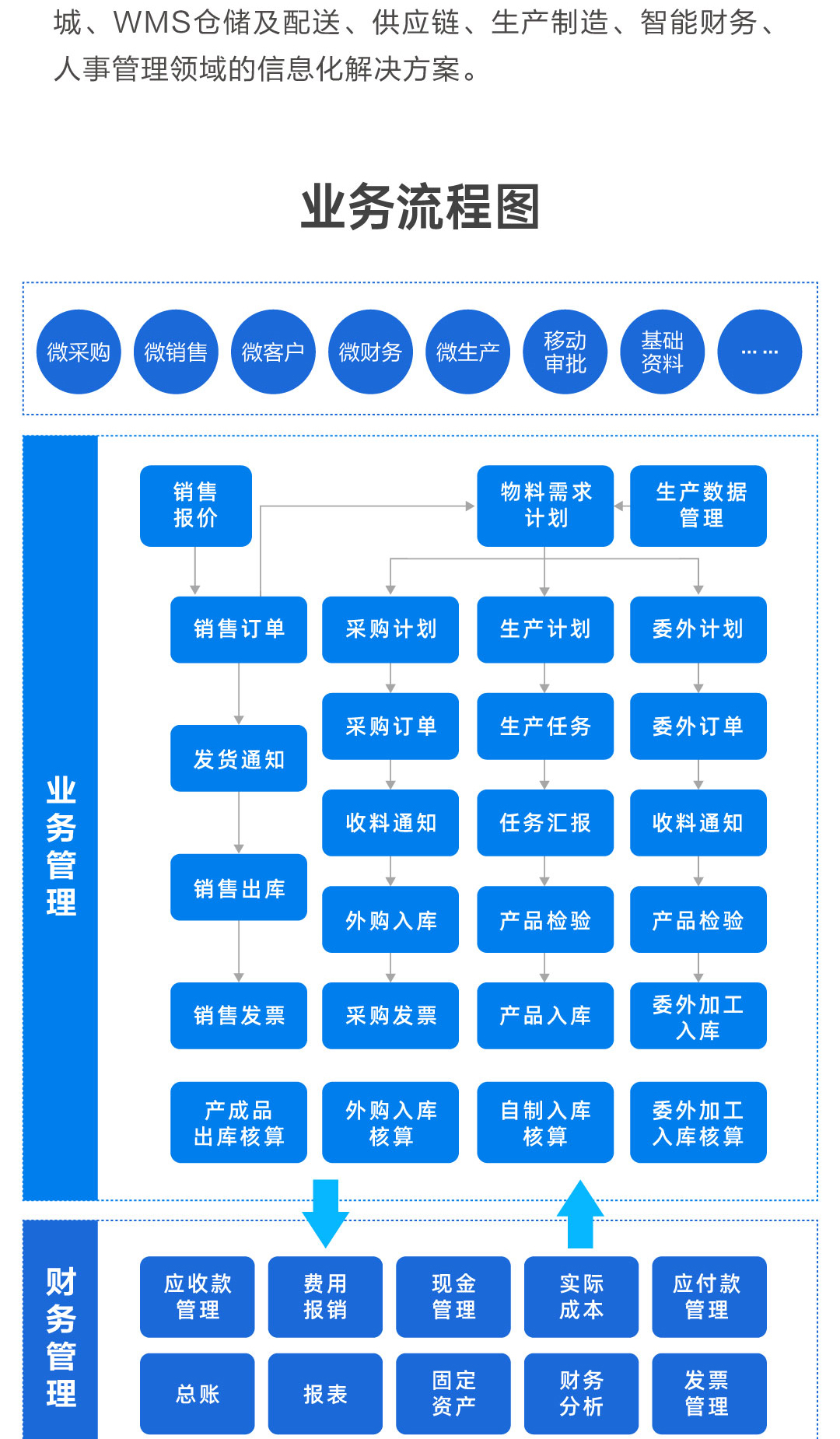 郴州金蝶
