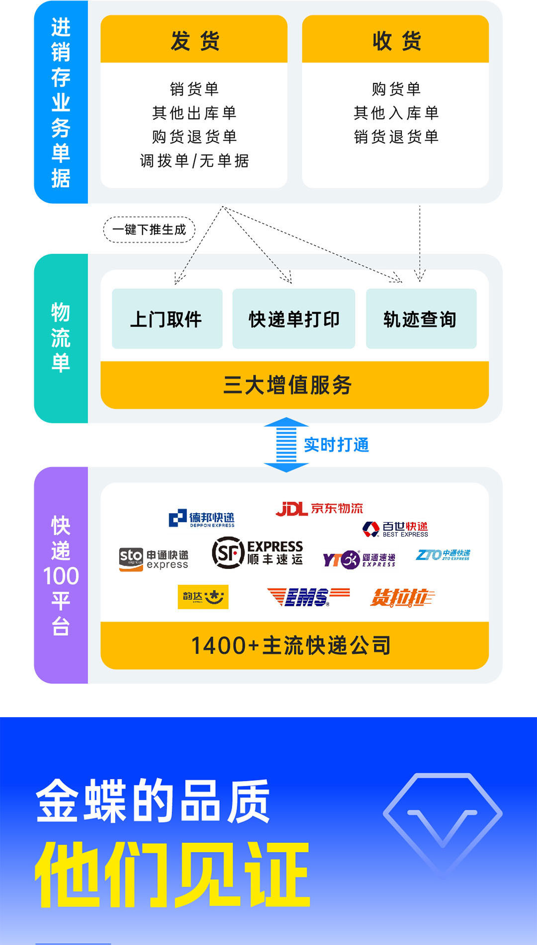 郴州金蝶