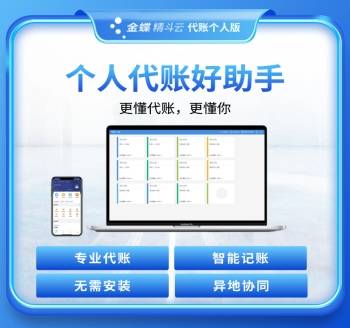 代账个人版