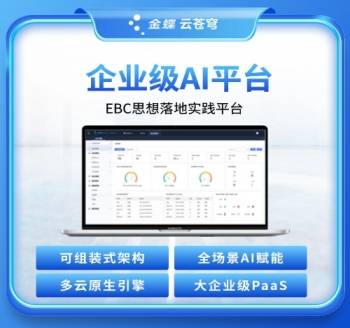 企业级PaaS平台 金蝶云·苍穹