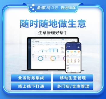 金蝶精斗云-云进销存