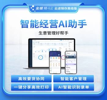 金蝶精斗云-云进销存高级版