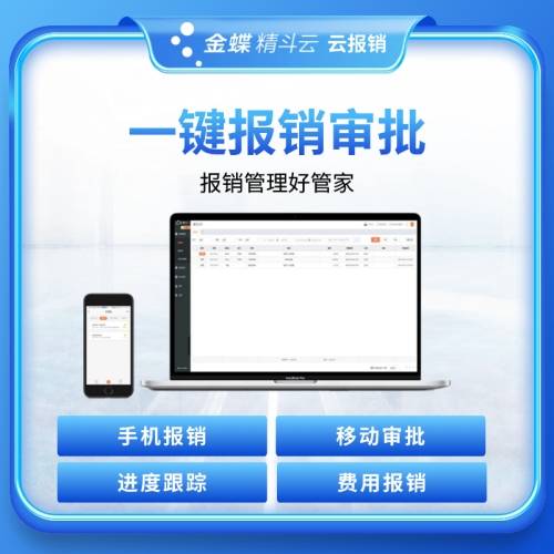 金蝶精斗云-云报销