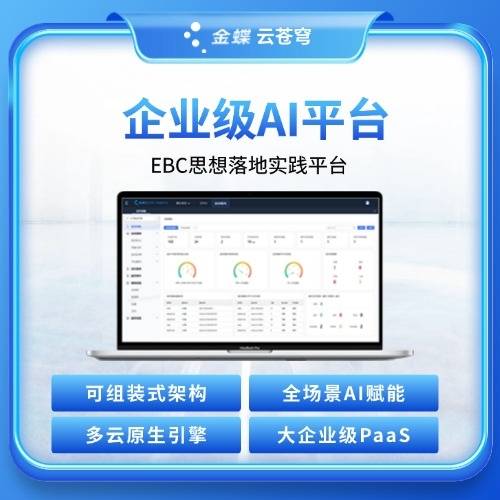 企业级PaaS平台 金蝶云·苍穹